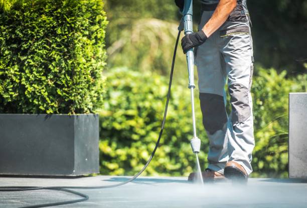 Best Building Exterior Washing  in South Hill, NY